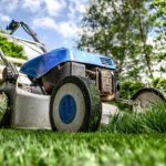 Why is Lawn Care Important?