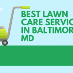 Best lawn care services in Baltimore